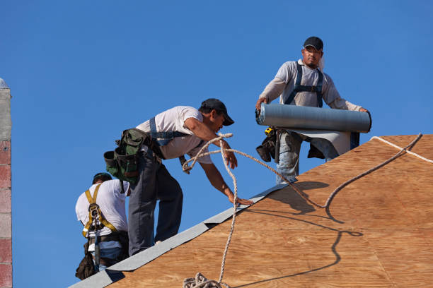 Best Storm Damage Roof Repair  in Crimora, VA